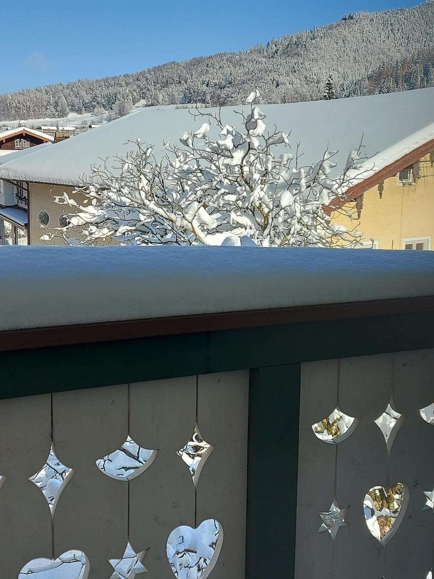 Ferienwohnungen Schneiderhaeusl Inkl. Chiemgaukarte Ruhpolding Dış mekan fotoğraf